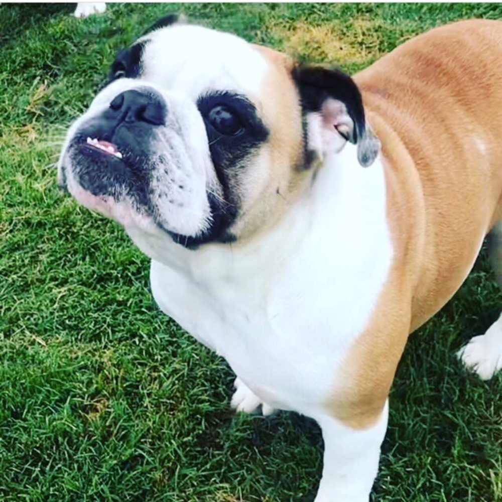 Meet your Posher, Erin